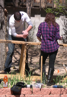 Students work in the Lobo Garden in the backyard of the Real Estate Department office.