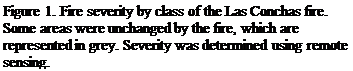 Text Box: Figure 2. Fire severity by class of the Las Conchas fire. Some areas were unchanged by the fire, which are represented in grey. Severity was determined using remote sensing.