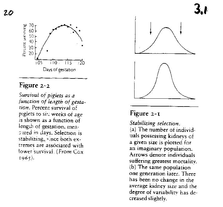 lecture-3-types-of-natural-selection