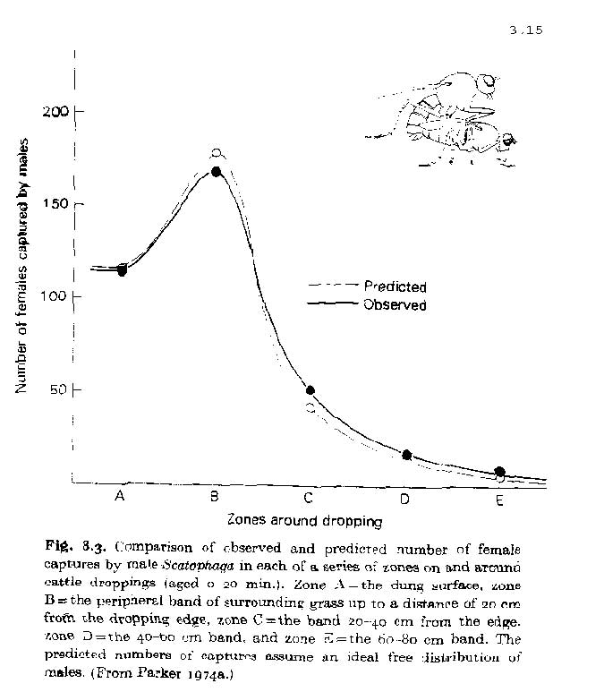 lecture-3-types-of-natural-selection