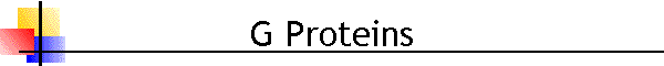 G Proteins