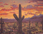 Arizona Sahuaro Sunset oil painting by Jeff Potter SOLD