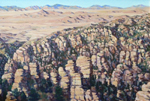 View West From Chiracahua Mountains oil by Jeff Potter AVAILABLE
