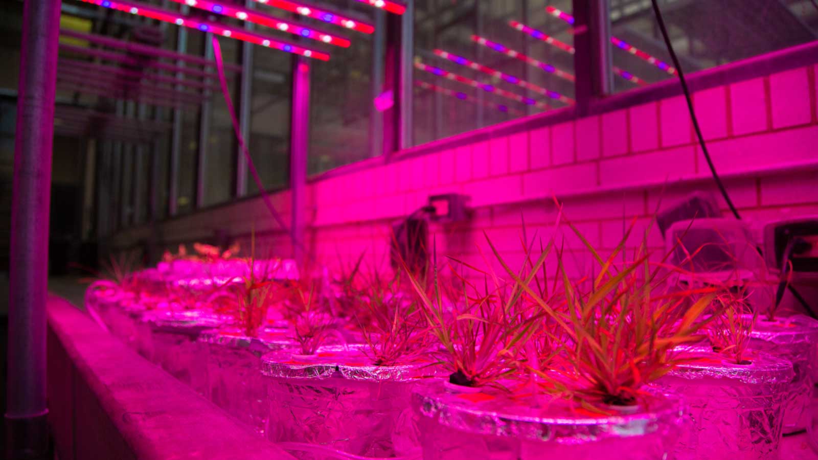 Turning discovery into impact: UNM research at work for New Mexico